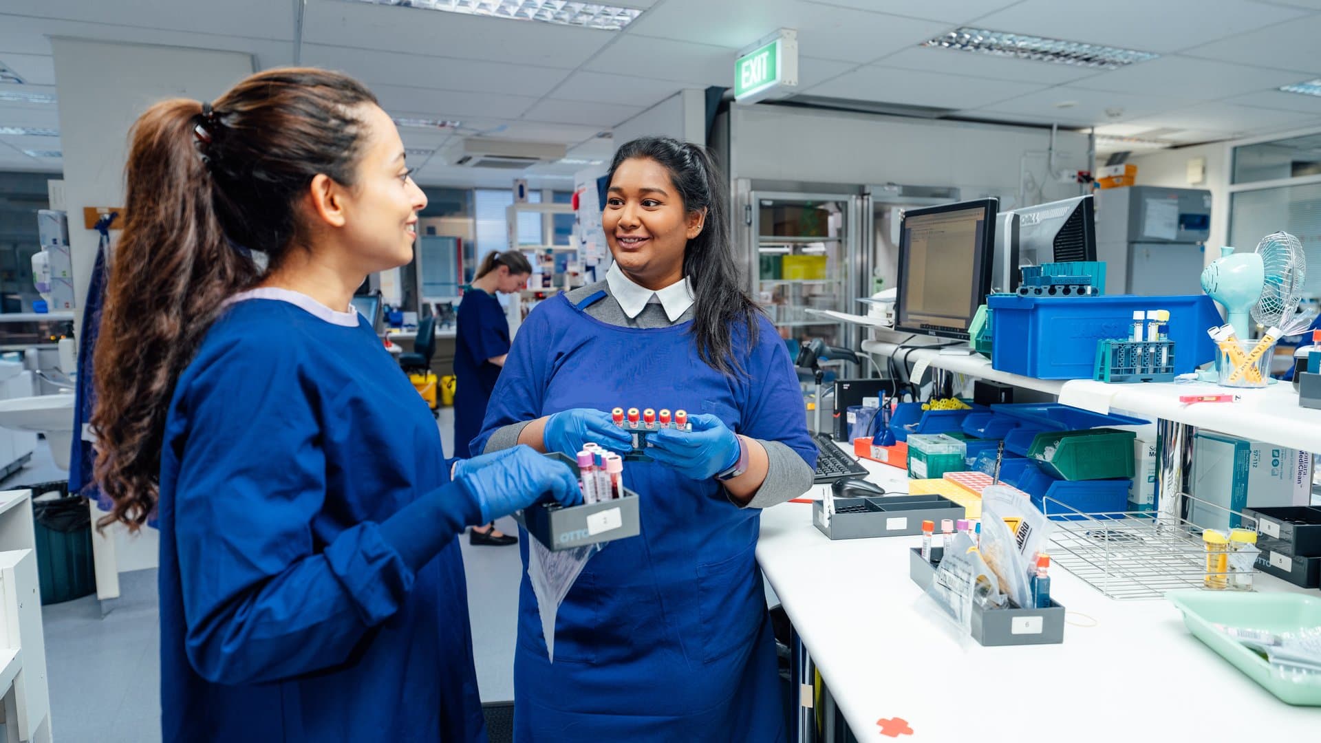 Researchers collaborating
