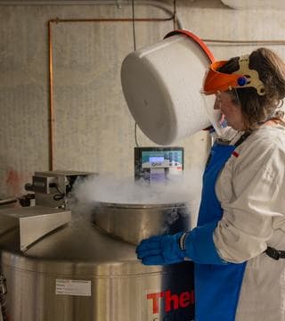 MS Stem cryostorage