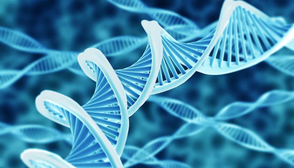 DNA